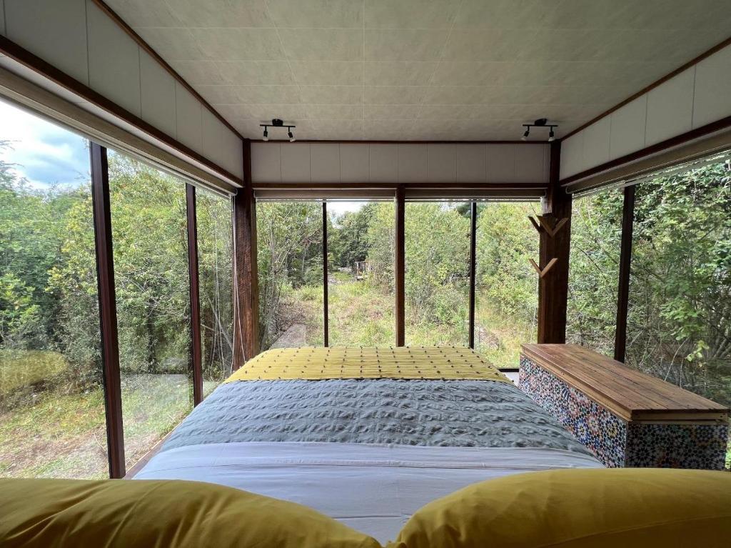 Aremko Aguas Calientes & SPA - 2