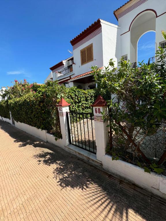 Apartment in La Mata Parquemar - 5