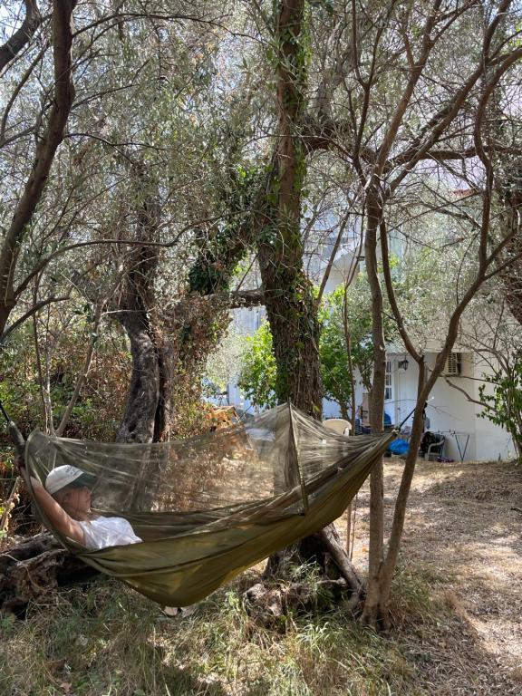Aparments in the olives - 5
