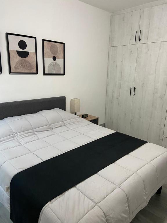 Spacious apartment, 5 minutes from Fundidora Park - 5