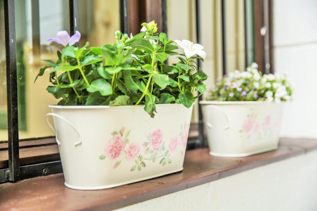 บริการและสิ่งอำนวยความสะดวก