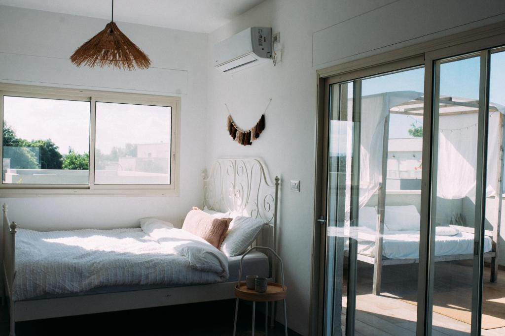 Shavei Zion studio, Šavej Cijon