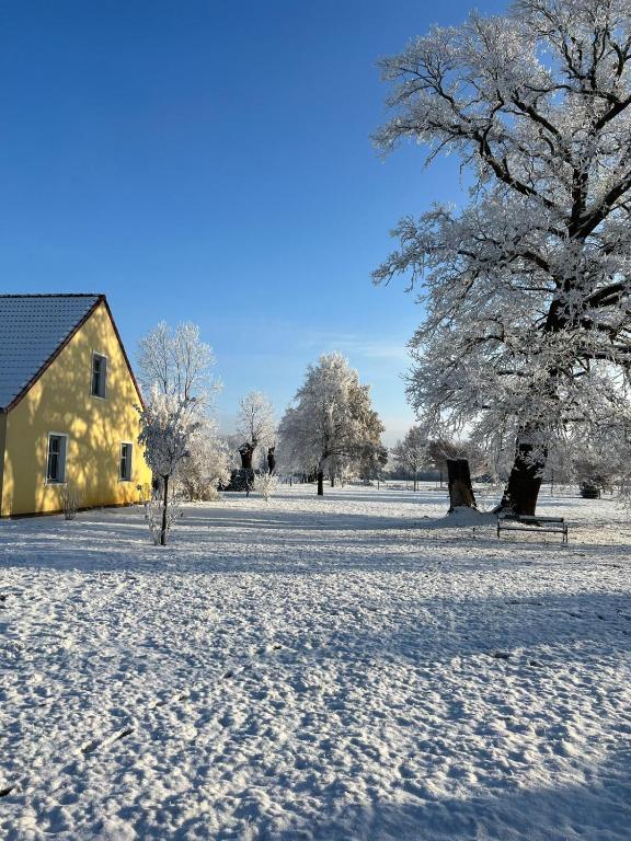 Landgut Ziegler, Friesack