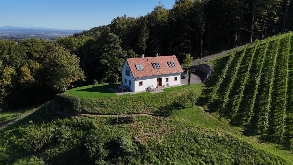 Weingartenhaus Eckberg41, Eckberg