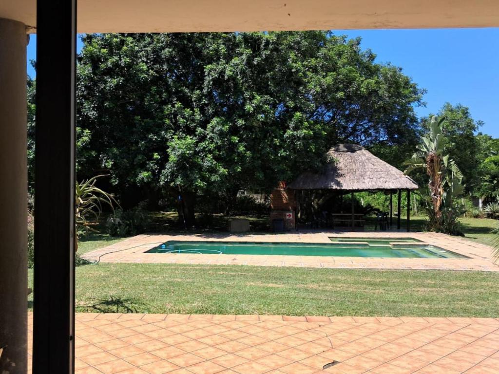 スイミングプール