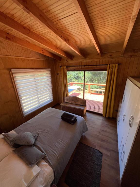 Cabañita del bosque - 3