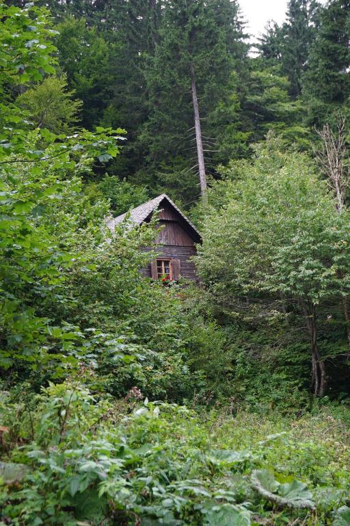 Almhütte Groß Frondell - 2