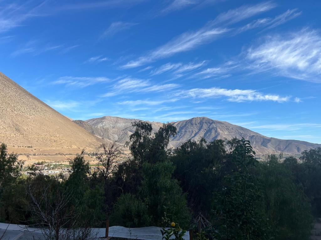 Diaguitas Valle de Elqui - 5