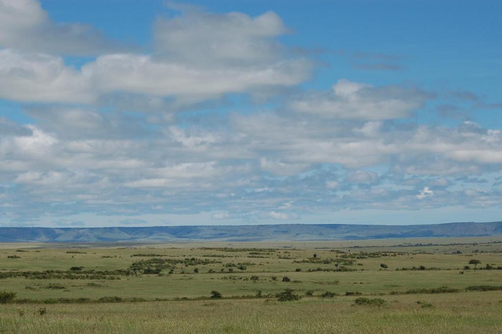 Mara Intrepids Tented Camp Hotel photo
