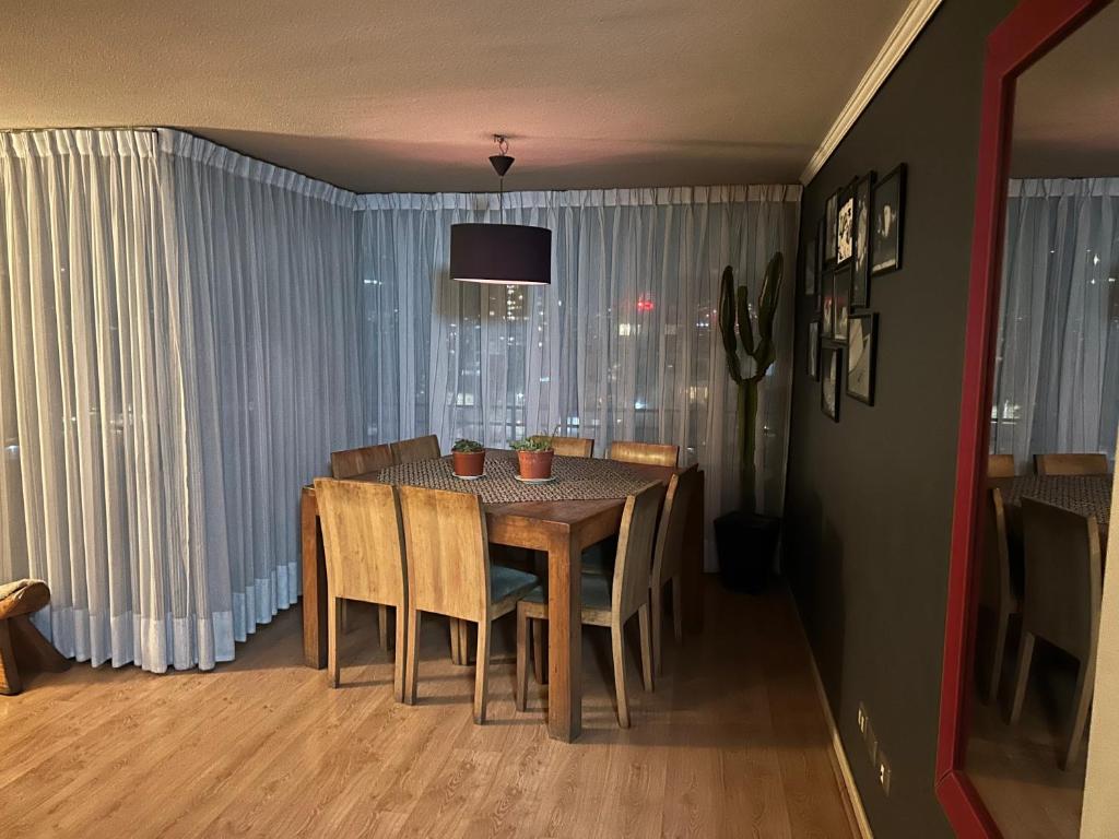 Gran departamento céntrico Ñuñoa - 2