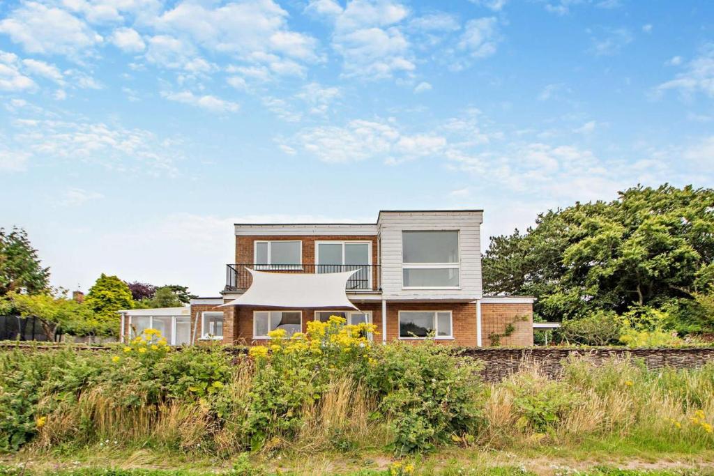 Seagulls, Walberswick