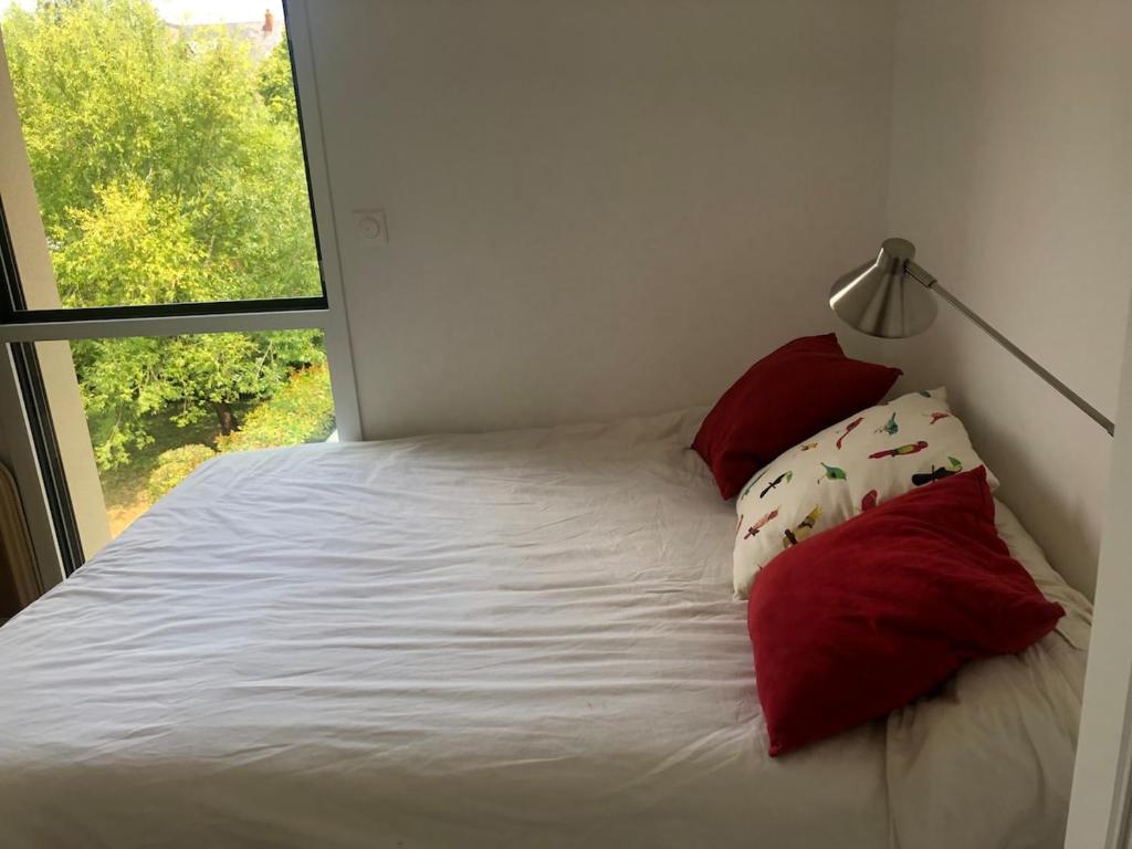 New and spacious appartment 1 room St Mihiel - 4