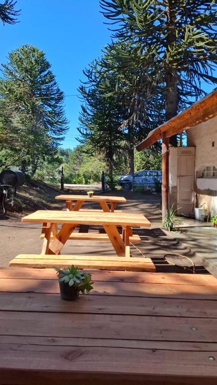 Alojamientos Titin, Villa Pehuenia