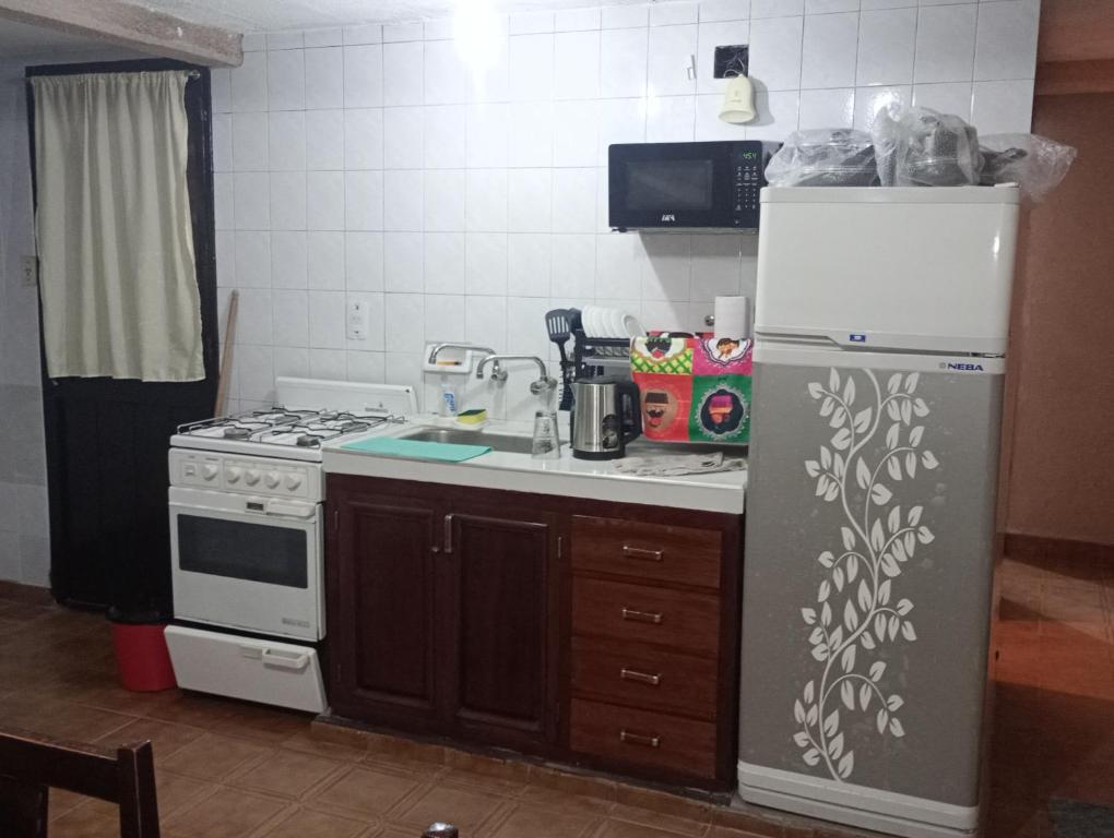 Ely Departamento Jujuy - 4