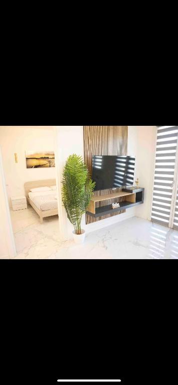 Modern house Dita - 3