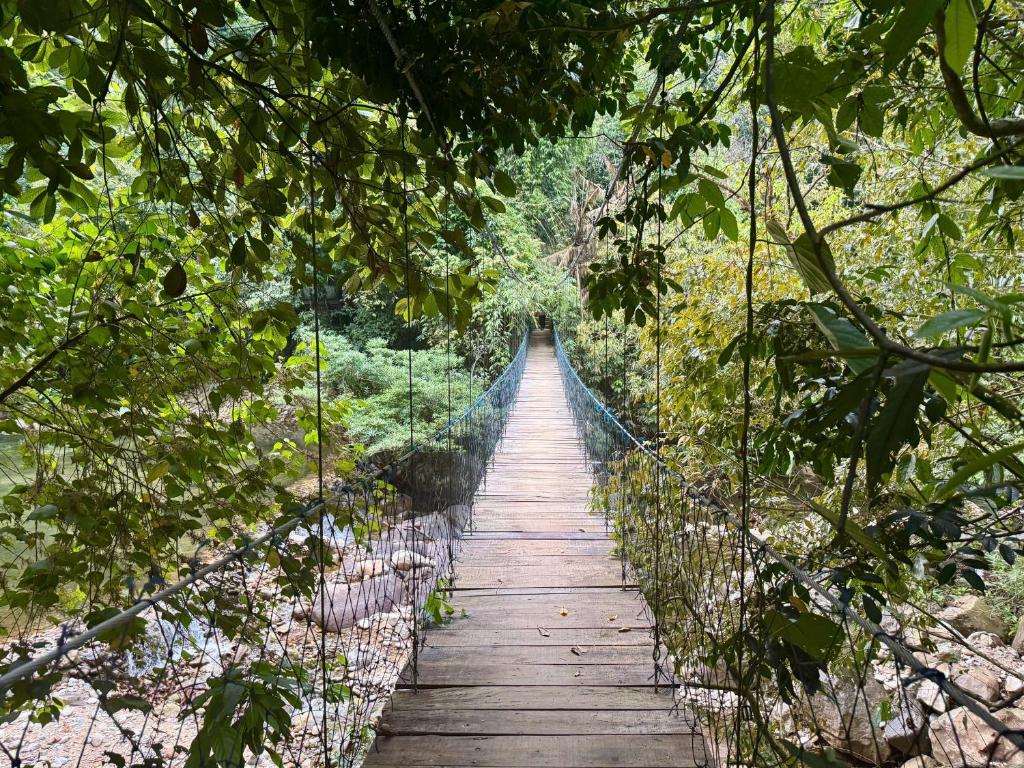 Surrounding environment