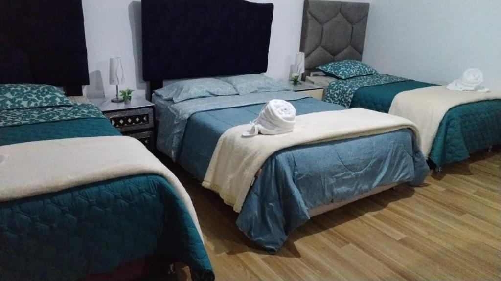 Guadita House - 5