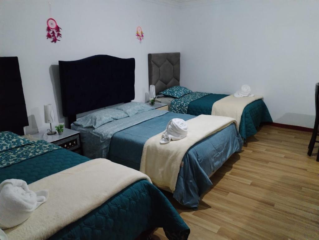 Guadita House - 2