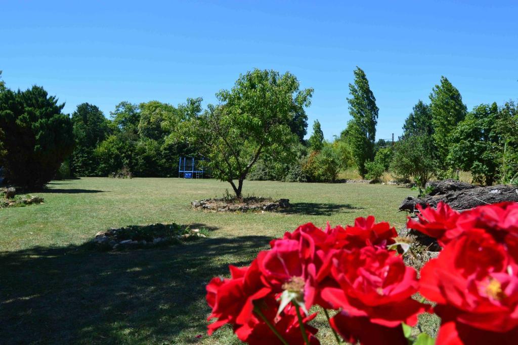 Le Quereau Cottage — Hotel in Limalonges