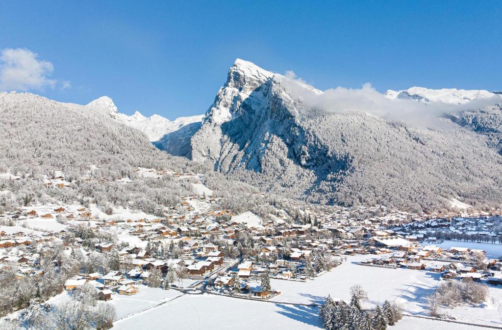 Mobil home 4 personnes au pied du Grand Massif à Samoëns - 2