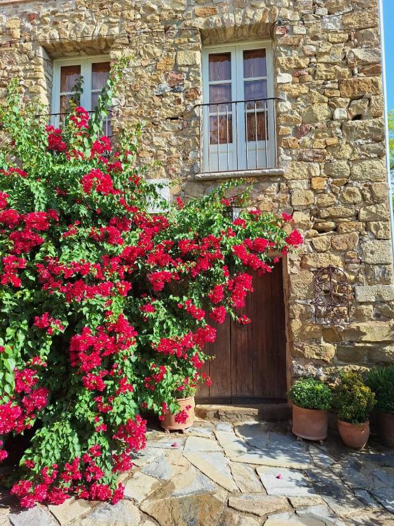 Can Pedragos, Sales del Llierca