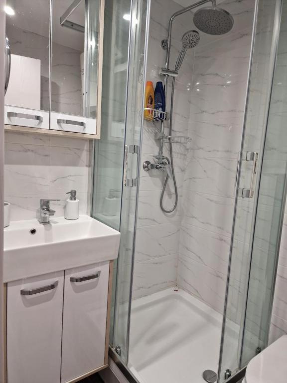 Business Suite Novi Sad Center - 3