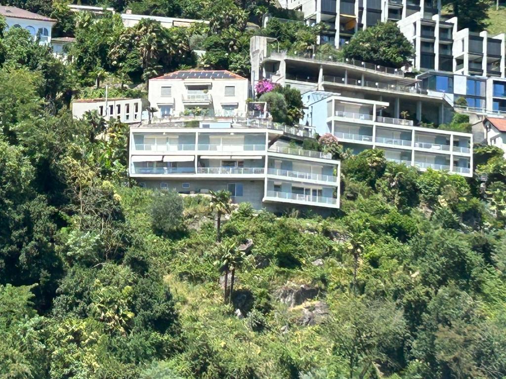 Paradiso - 2
