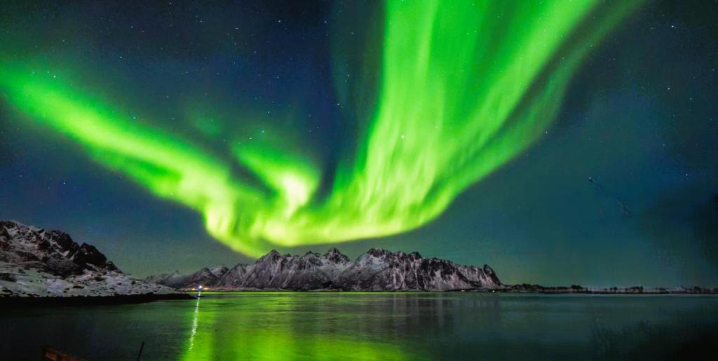 Lofot rommet, Svolvær