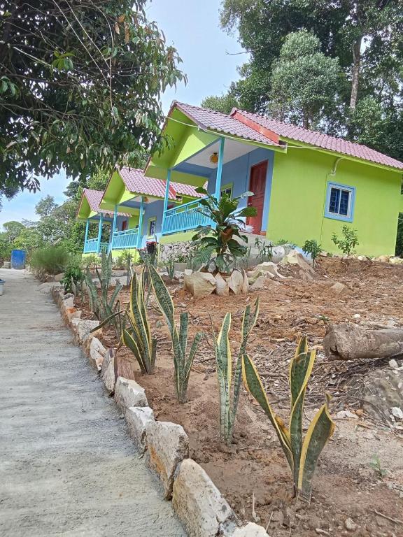 The Jungle Koh Rong, Koh Rong