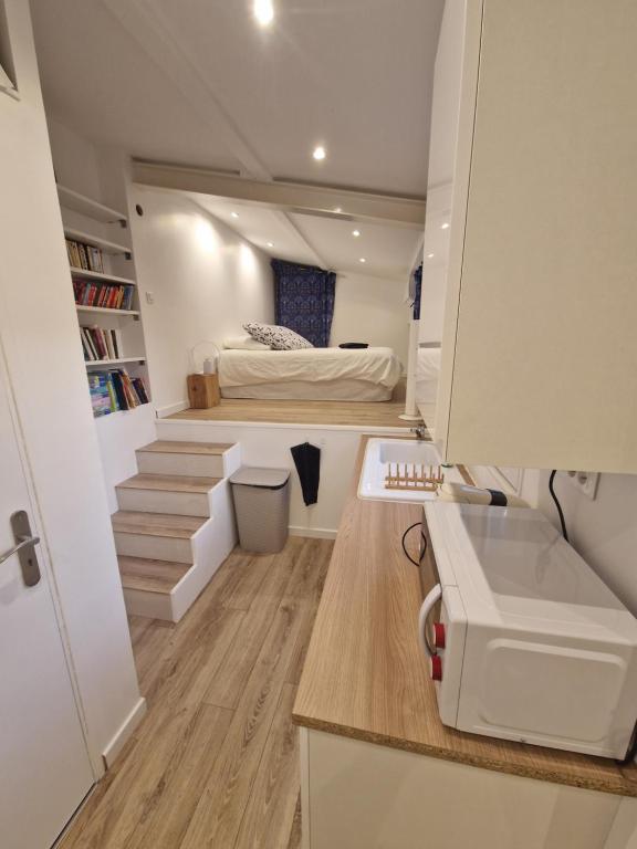 Massilia Shelter - 2