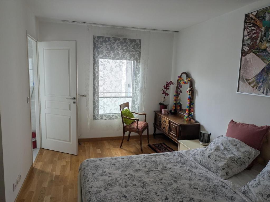 Beautiful flat around Geneva & its airport Palexpo, Saint-Julien-en-Genevois