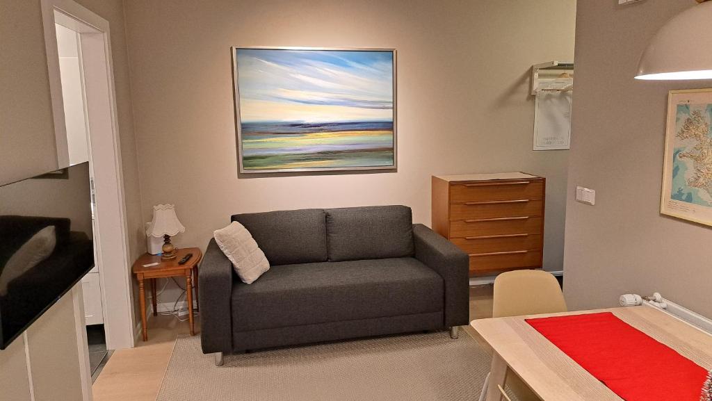 Central & cozy, Reykjavík