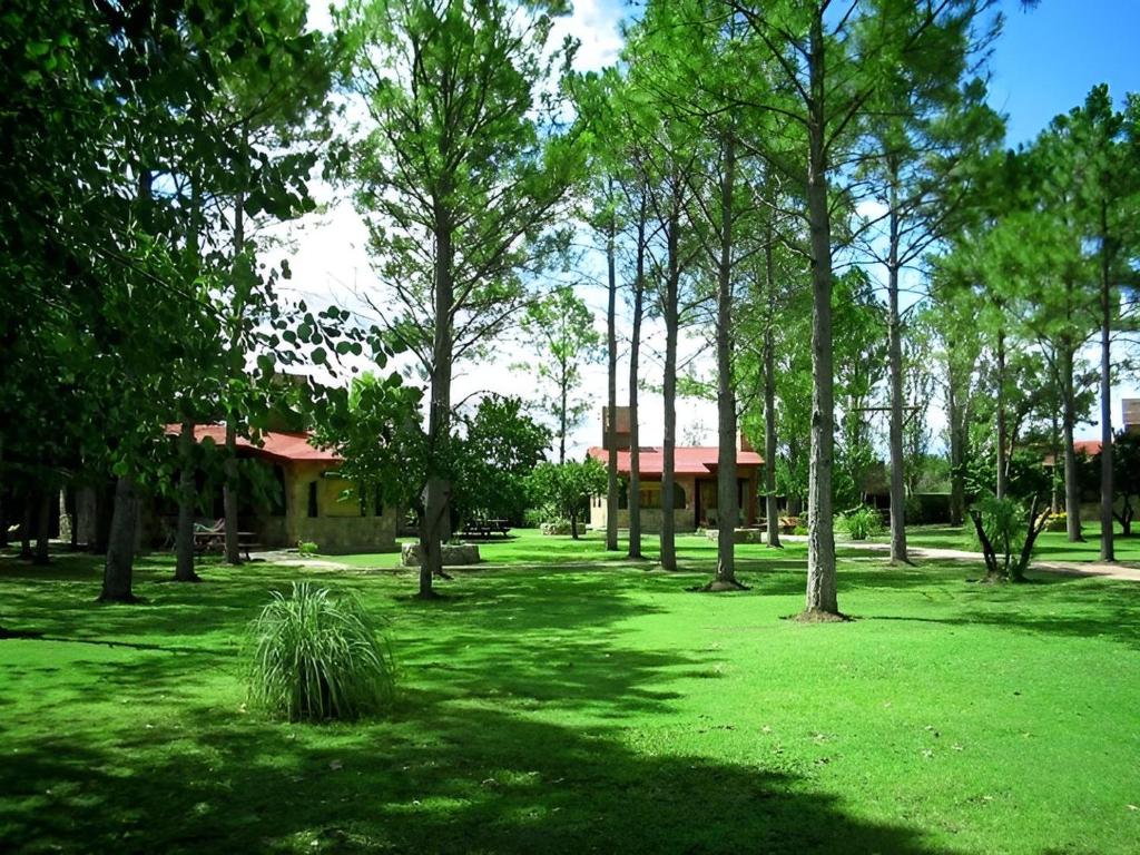 CABAÑAS VIEJO VIVERO - 3