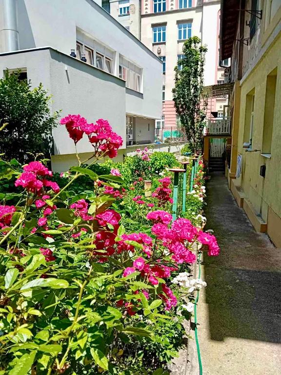 Hortenzija Apartment, Sarajevo