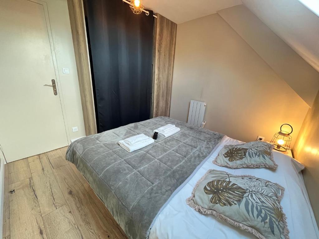 Danton confortable chaleureux proche centre-ville - 3