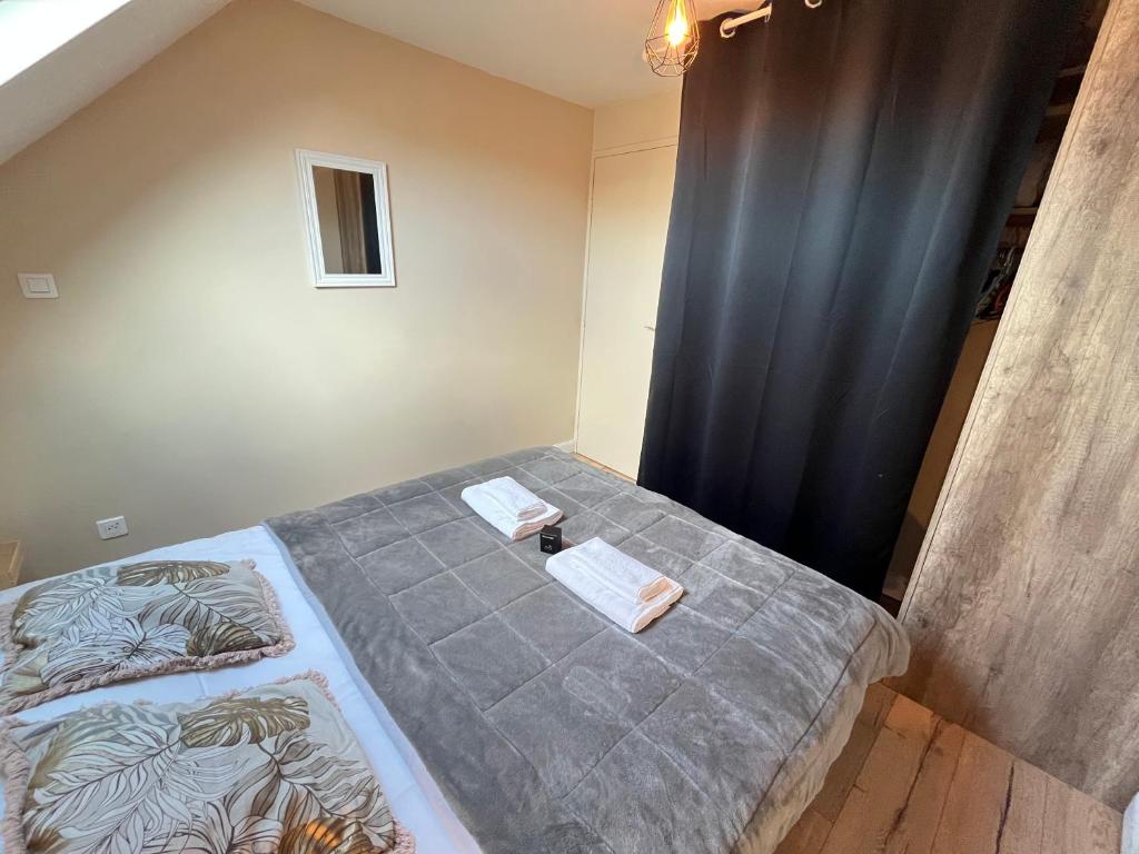 Danton confortable chaleureux proche centre-ville - 2