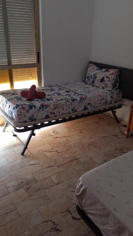 Habitacion en piso compartido No alojamiento turistico - 3