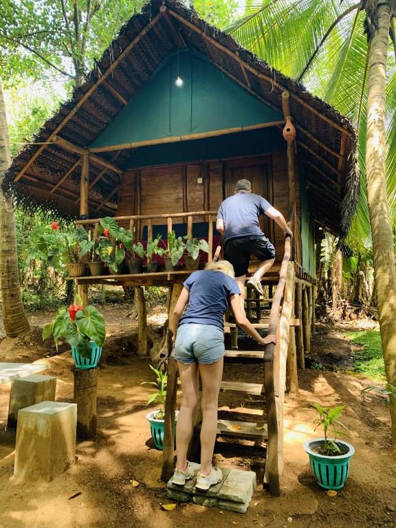 Surrounding environment