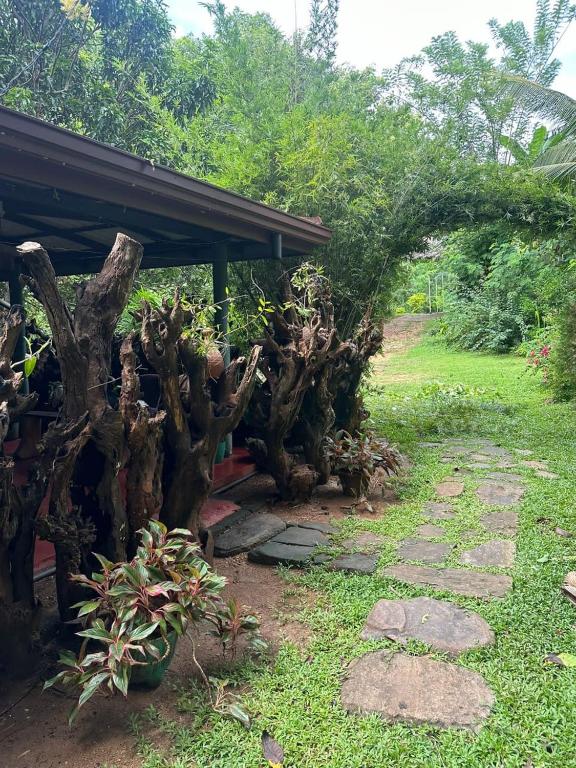 Surrounding environment