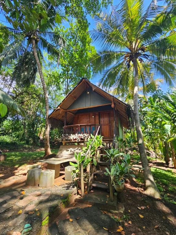 Exterior view, Brookline Safari Resort in Udawalawe