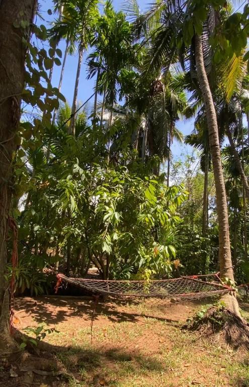 Surrounding environment