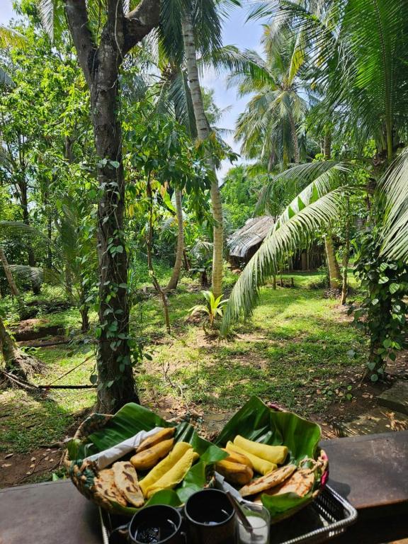 Surrounding environment