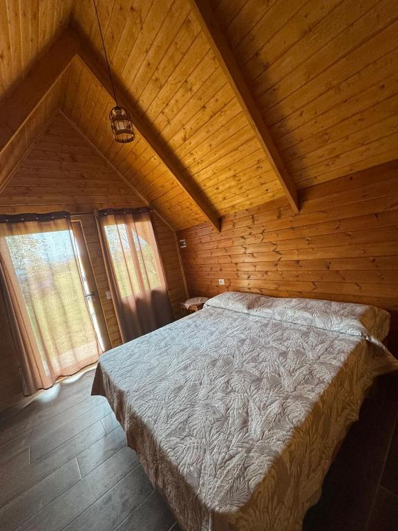 Treeolives, Shkodër