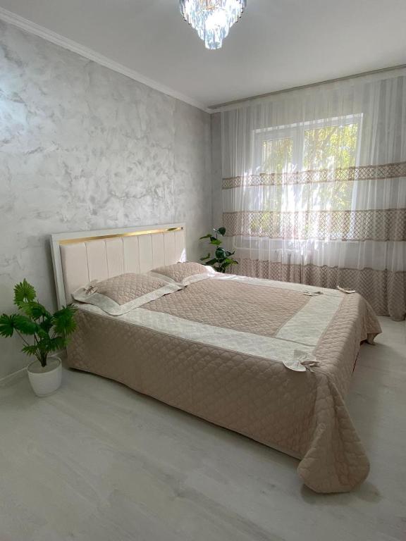 Apartment 27, Šymkent