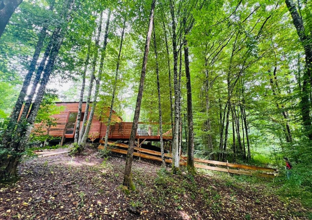 Chalet des Oies, private spa, Cerfontaine