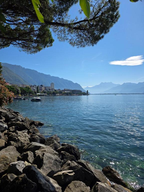 Beauty apart a centre de Montreux - 3