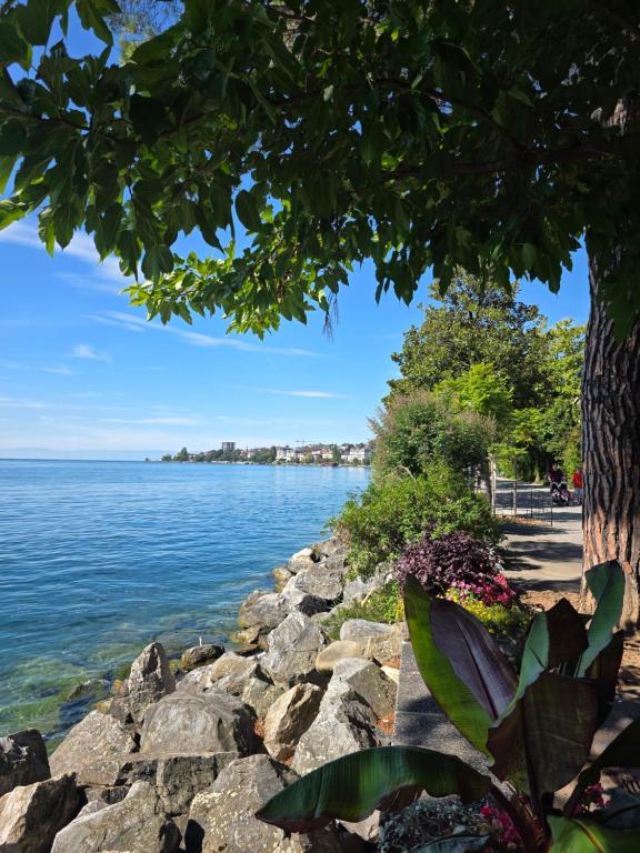 Beauty apart a centre de Montreux - 2
