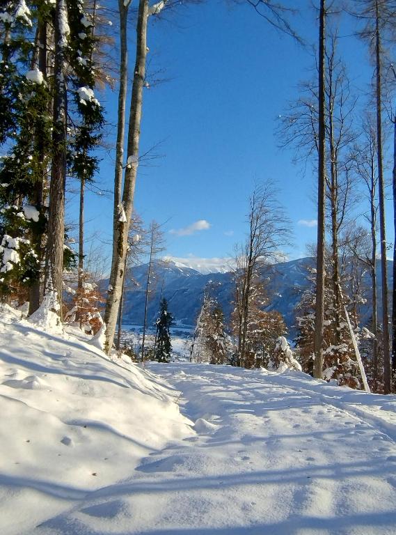 Ferienwohnung BergTime, Weißenbach bei Liezen