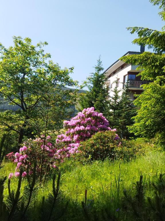 Apartmán 3K Michael, Špindlerův Mlýn