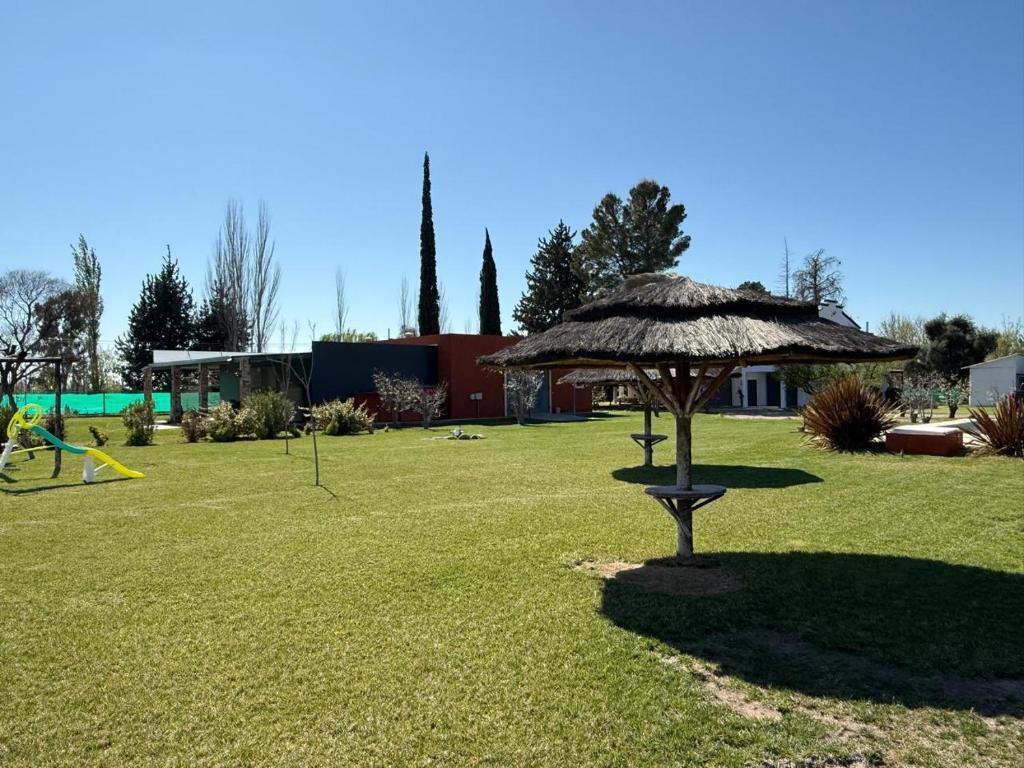 Bodega & Finca Pasquinelli - 3